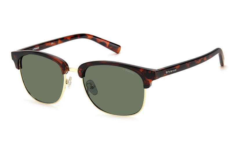 PLD 1012/S Polaroid | Browline Sunglasses