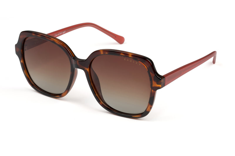 Phoenix Radley 6505 RDS | Square Sunglasses