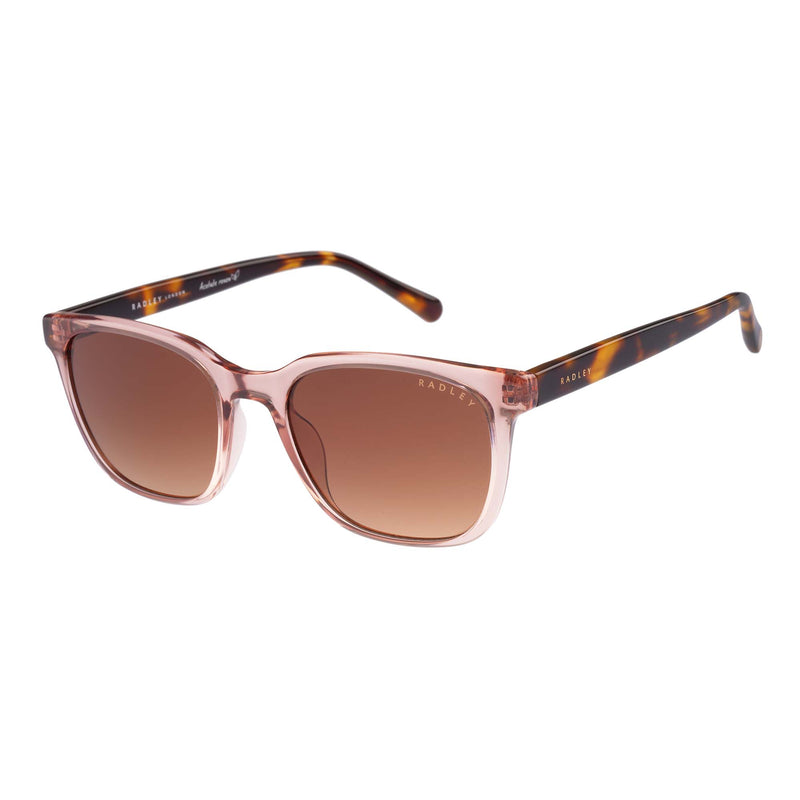 Radley Hillgate RDS 6534 | Square Sunglasses