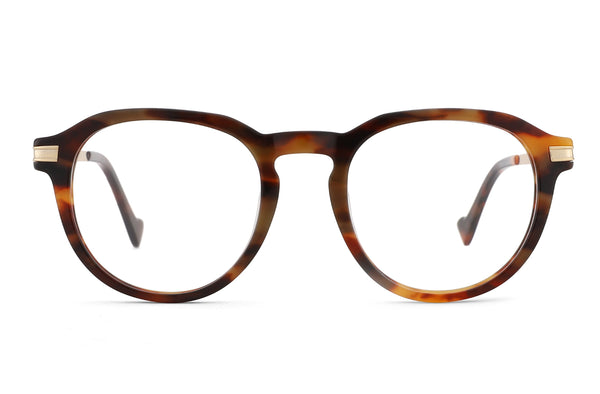 Theorie | Round Premium Glasses | Brown Horn