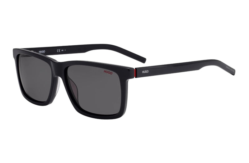 HG 1013/S Hugo Boss | Square Sunglasses