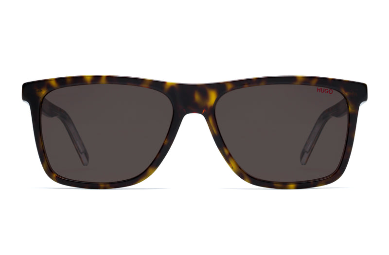 HG 1003/S Hugo Boss | Square Sunglasses